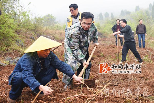 贝博在线开户党委书记陈弘与潮水铺村村支书一同种下金槐树苗